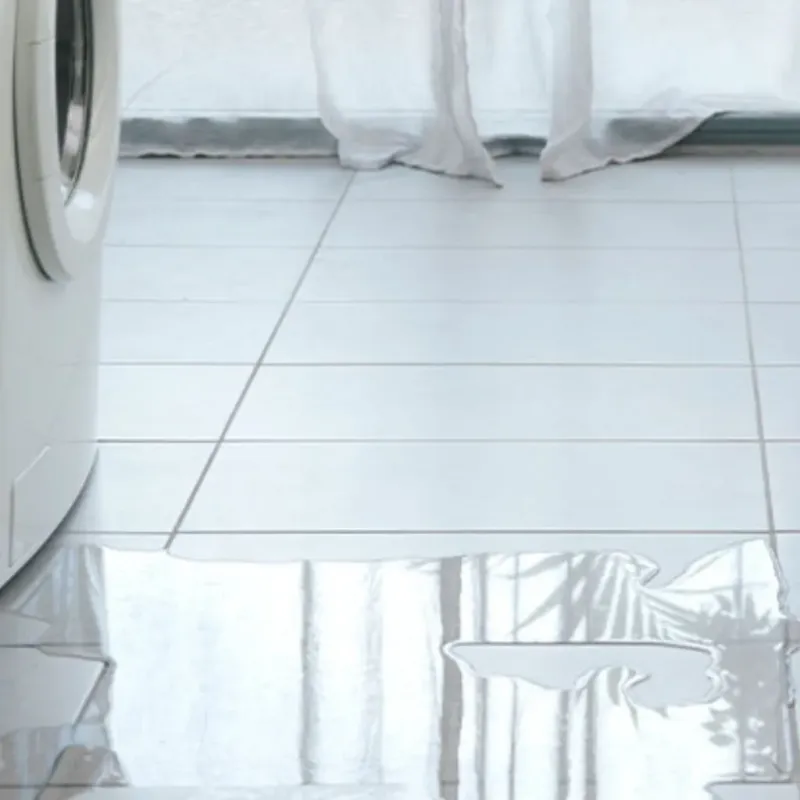 Appliance Leak Cleanup in Craigsville, WV