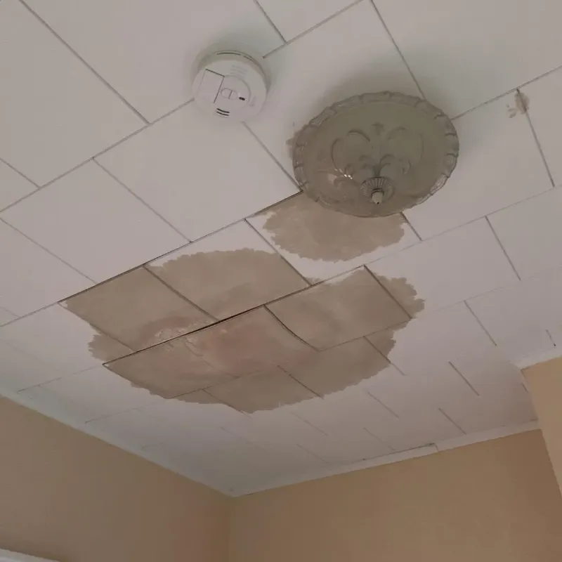 Ceiling Water Damage Repair in Craigsville, WV