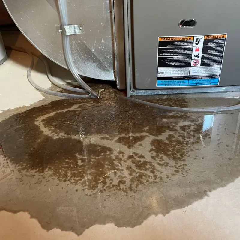 Pipe Burst and Leak Restoration in Craigsville, WV
