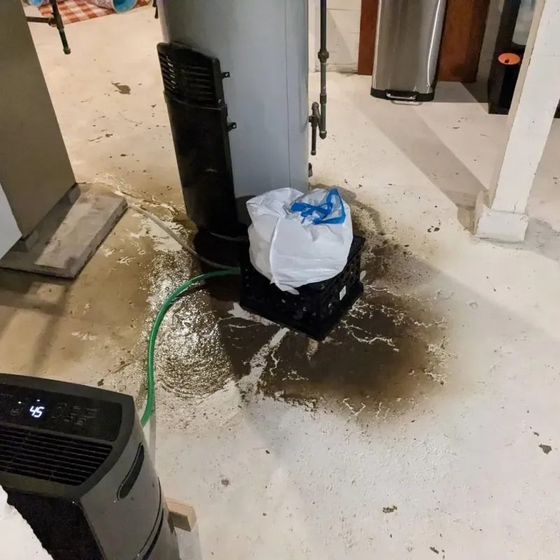 Sewage Backup Cleanup Service in Craigsville, WV
